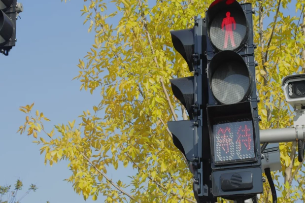 Plastik korpusli FAMA ovozli piyoda signallari noyabr oyida 7500 dan ortiq sotilgan, 1000 dan ortiq chorrahalarda oʻrnatilgan. Plastik korpusli FAMA ovozli piyoda signallari noyabr oyida 7500 dan ortiq sotilgan, 1000 dan ortiq chorrahalarda oʻrnatilgan.